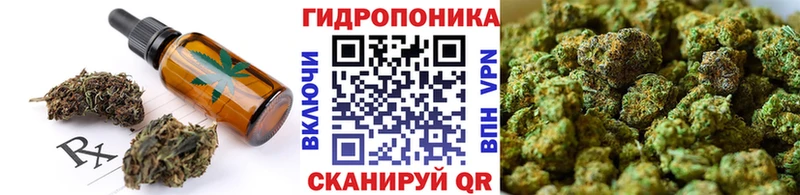 цены наркотик  OMG зеркало  дарк нет какой сайт  Перевоз  Печенье с ТГК марихуана 