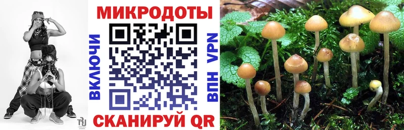 маркетплейс официальный сайт  ссылка на мегу вход  Перевоз  Галлюциногенные грибы Psilocybe 